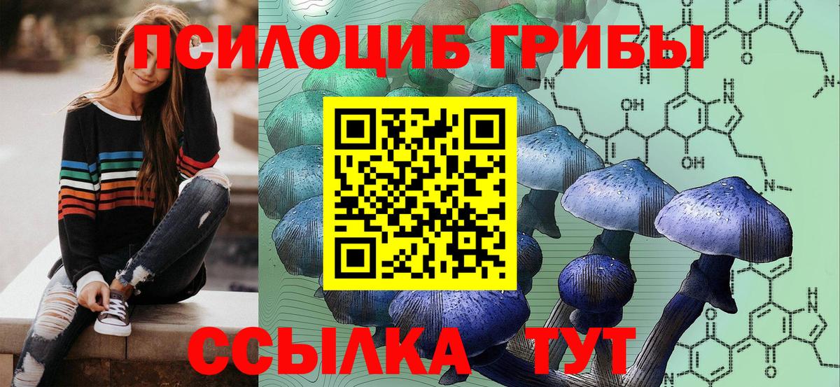 Сыктывкар  Галлюциногенные грибы Psilocybe  Вход с VPN 